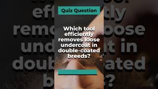 Tool Trivia