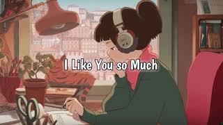 I Like You so Much | Lyrics (gustixa remix)