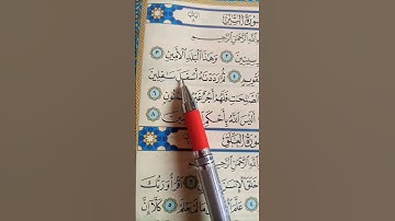 سورة التين للقارئ ياسر الدوسري