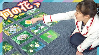 自由研究 小学校低学年向け Youtube