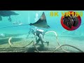 8K VR180 3D Divers cleaning reef at Sea World with sharks (Travel/Lego ASMR/Music 4K/8K Metaverse)