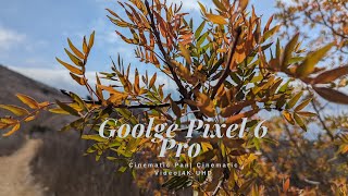 Google Pixel 6 Pro| Cinematic Pan Test| Cinematic Video| 4K| Portuguese Bend Reserve| Abalone Cove