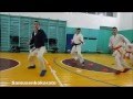 2. Karate training - 2016