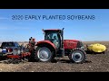 2020 Early Planted Soybeans