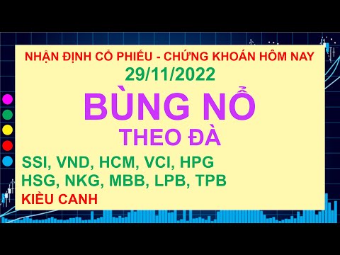 giá cổ phiếu ssi - Nhận Định Cổ Phiếu💖SSI, VND, HCM, VCI, HPG, HSG, NKG, MBB, LPB, TPB | Chứng Khoán 29/11 | Kiều Canh