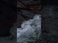 Just Water Sounds: Continuous Pure River Flow for Relaxation (No Music)