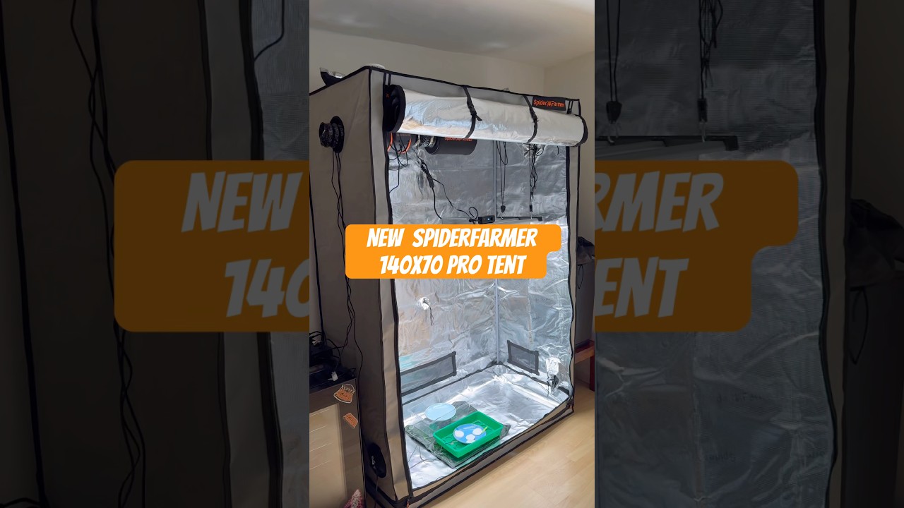 Spider Farmer Pro Tent Setup - One Seed is Alive!