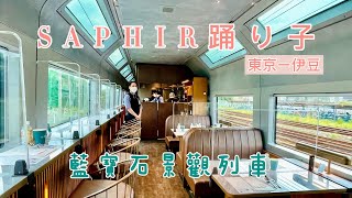 SAPHIR踴子號｜從東京到伊豆全新奢華景觀列車！東海上的 ... 