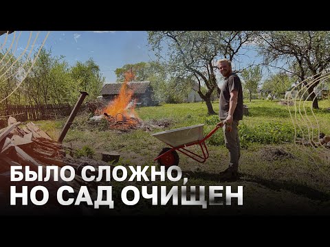 Очистил сад от