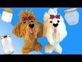 Ideas fáciles para frascos de vidrio decorados Perritos de lana estambre 10 de mayo Día de la madre