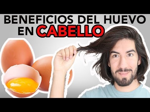 5 BENEFICIOS DEL HUEVO PARA EL CABELLO - Montaño - YouTube