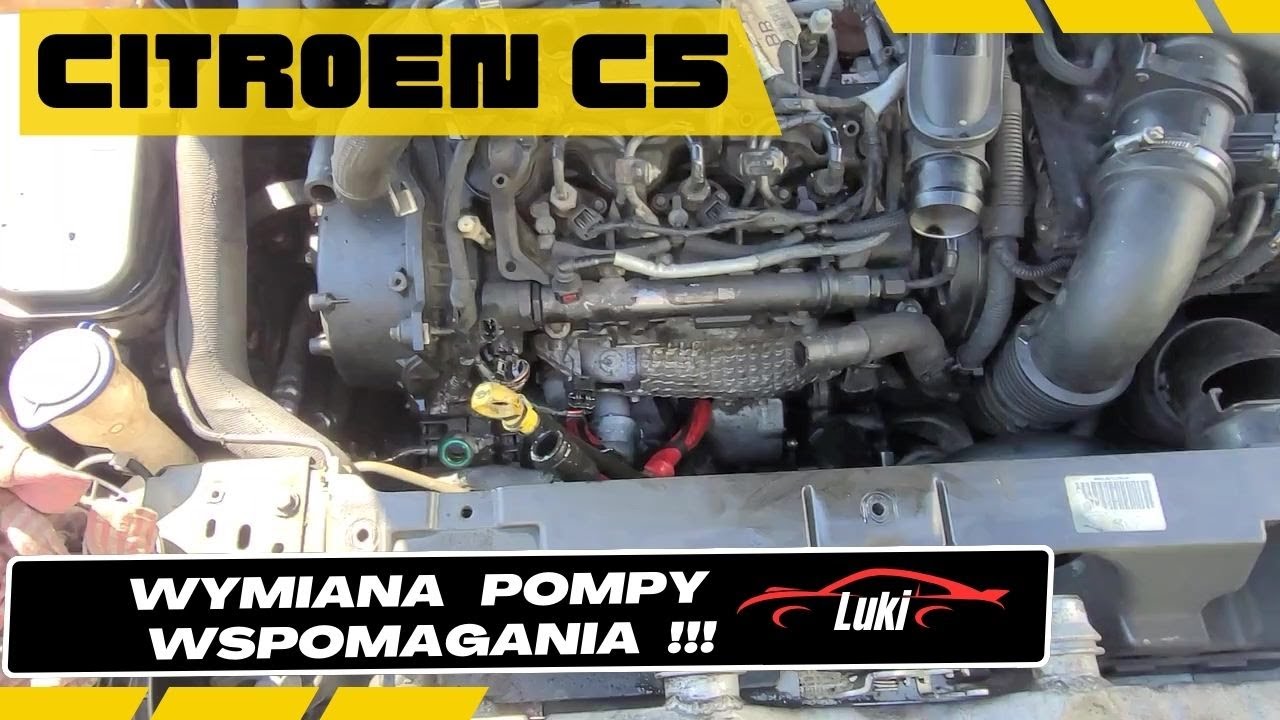 Jaki Jest Najdłuższy Wąż Na świecie Citroen C5 Wymiana Pompy Wspomagania , Jak Wymienić Pompę Wspomagania
