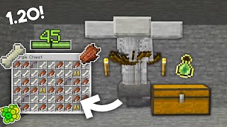 Minecraft Zombie & Skeleton Mob Spawner XP Farm - 1.20 Tutorial!