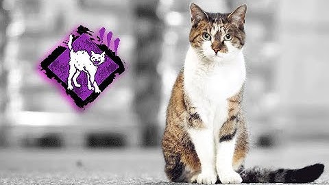 How To Use Spine Chill Like a Pro |Dead by Daylight