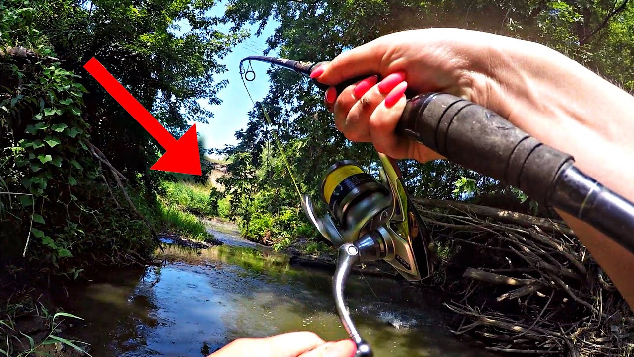 Raging Fish WADING Through Multiple RAGING CREEKS To Find AGGRESSIVE FISH!! (HIDDEN ...