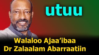 Walaloo Ajaa'ibaa Zalaalam Abarraa | Utuu | Zelalem Abera poem | Walaloo Afaan Oromoo