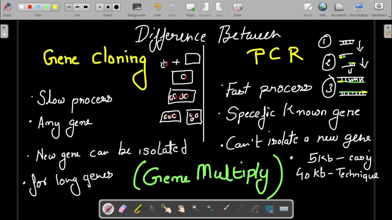 GENE CLONING Lecture 4 Difference between gene cloning and PCR YouTube