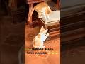 Kucing Lomba Garuk 😁 #short #shortsvideo #viral #fyp #ytshorts #viralvideo #youtubeshorts #cat