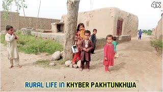 Rural life | In Khyber Pakhtunkhwa | 4K