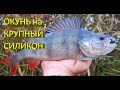 🔥 Осенний ОКУНЬ на ЩУЧИЙ силикон. Исаковское водохранилище: был щучий рай, стало окуневое эльдорадо🔥