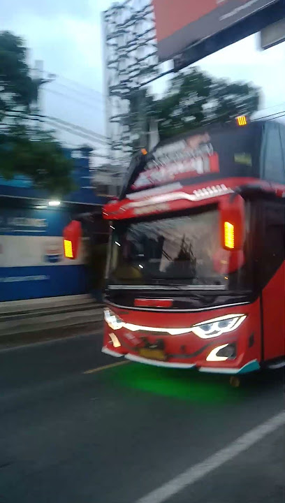telolet basuri modul DAV bier aly trans elvina part 2 #bieralytrans #basuri #moduldavairhorn #shorts