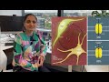 Brain cancer research - Dr Mastura Monif