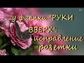 У ФИАЛКИ "РУКИ ВВЕРХ:исправление розетки (видеодневник)