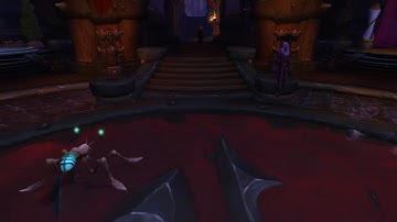 Taking portal from Dalaran to Orgrimmar