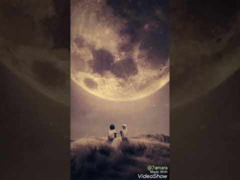 حالات واتس تامر عاشور كدبه و عاشها قلبي