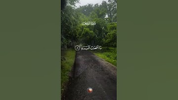 سورة الواقعة 🌟 القارئ سعود الفايز 🌙سورة الواقعة.. سورة الرزق واليقين #قرآن #نور_القرآن