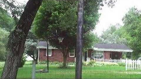 Ninja Training Part 1 - Blend with surroundings