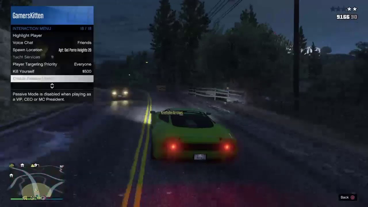 GamersKitten PS4 Gta