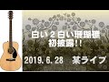ライブで弾き語り! Mi-Keの白い2白いサンゴ礁、一部歌詞を追加して初披露!!