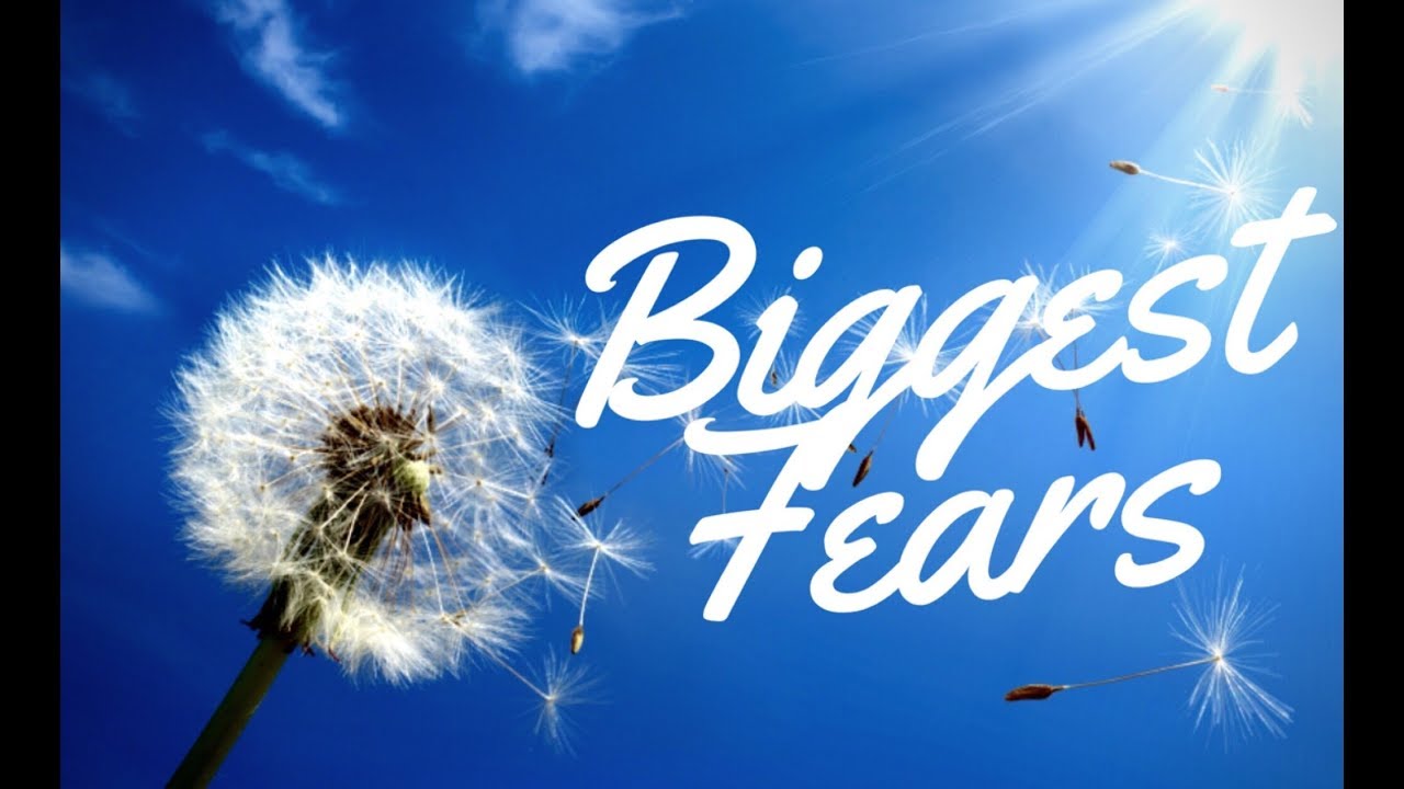 zodiac signs biggest fears gemini libra aquarius my zodiac chart
