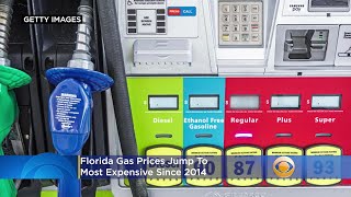 Aaa Florida Gas Prices Jump To Most Expensive Since 2014