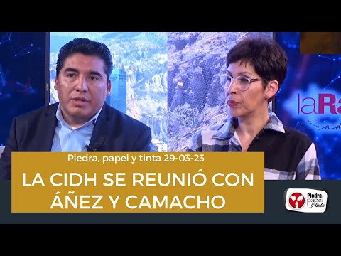 Director de Régimen Penitenciario confirma que la Misión de la CIDH visitó a Añez y Camacho