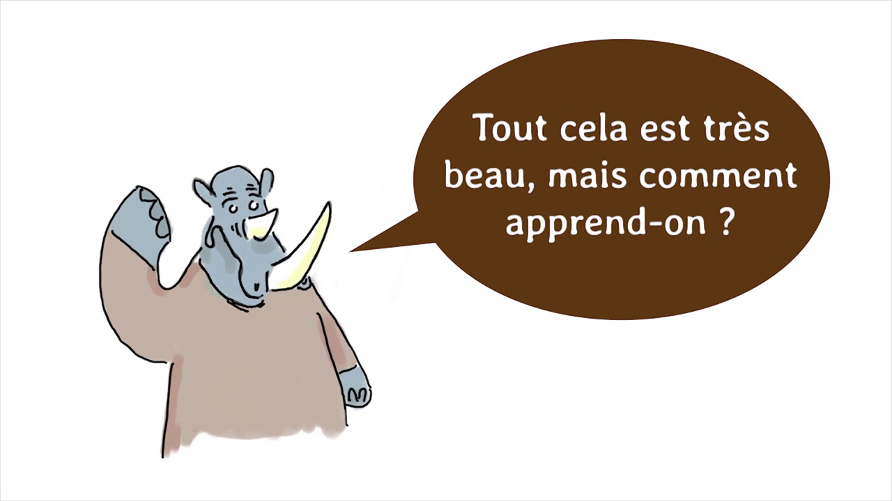 Qu'est-ce qu'apprendre ? - YouTube