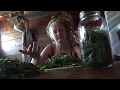 How to make a Lemon Balm elixir!