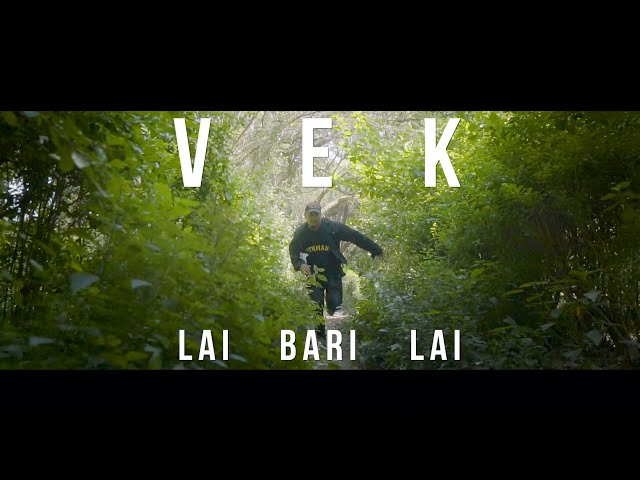 VEK - Lai Bari Lai class=