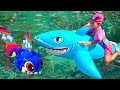 Milusik Lanusik plays with Shark Toys For Kids in Blue Water Pool