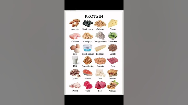 "High-Protein Foods You Should Know About! 🥚🥜🍗"