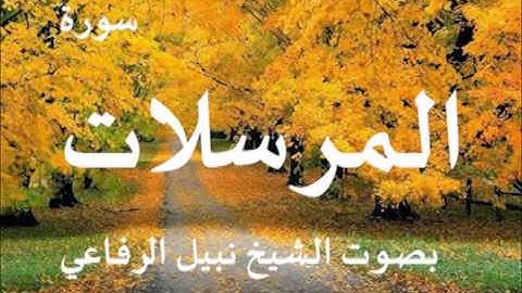 سورة المرسلات بصوت الشيخ / نبيل الرفاعي 77