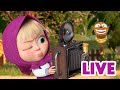 ماشا والدب 👱‍♀️ LIVE STREAM! 📷🙈 التعايش 📷🙈 Masha and the Bear