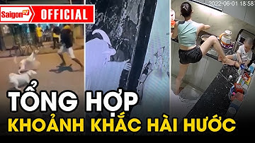 Tổng hợp những khoảnh khắc HÀI HƯỚC  | Tin tức SaigonTV
