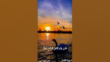 #تلاوة_مريحة ❤️🎧 {وحشر لسليمن جنوده من الجن والانس}《 سورة النمل》❤️  #القارئ #ايوب_الريفي 📚🎧