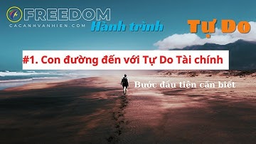 #1 Con đường đến với tự do tài chính | Bước đầu tiên cần biết | Hành Trình Tự Do - Freedom Dream