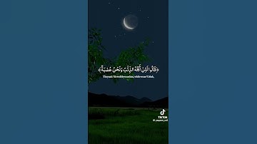 القرآن الكريم هو جنة، هو رفعة ، هو هداية، هو سبيل اسعاد ودرب أمان💚💚🤲