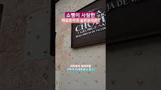 스페인여행 쇼팽이사랑한 마요르카의 숨은보석은 어디? #shorts #여행 #travel #trip #스페인여행 #맛집 #리마로의세계여행 #spain #발데모사 #마요르카 #trip