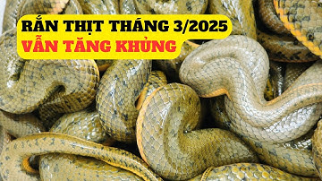 Cập Nhật Giá Rắn Thịt Tháng 3/2025 - Trại Giống Đông Sơn