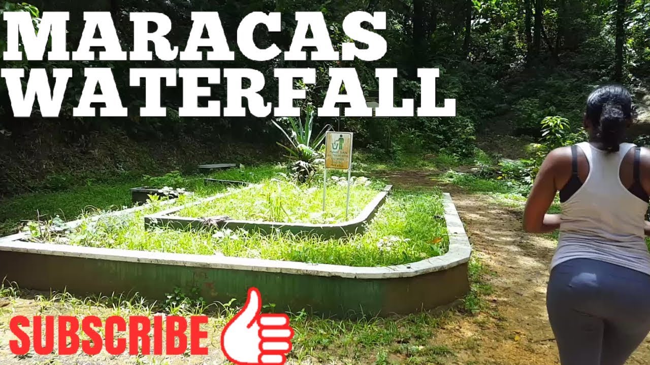 MARACAS WATERFALL HIKE TRINIDAD Things to do in Trinidad YouTube